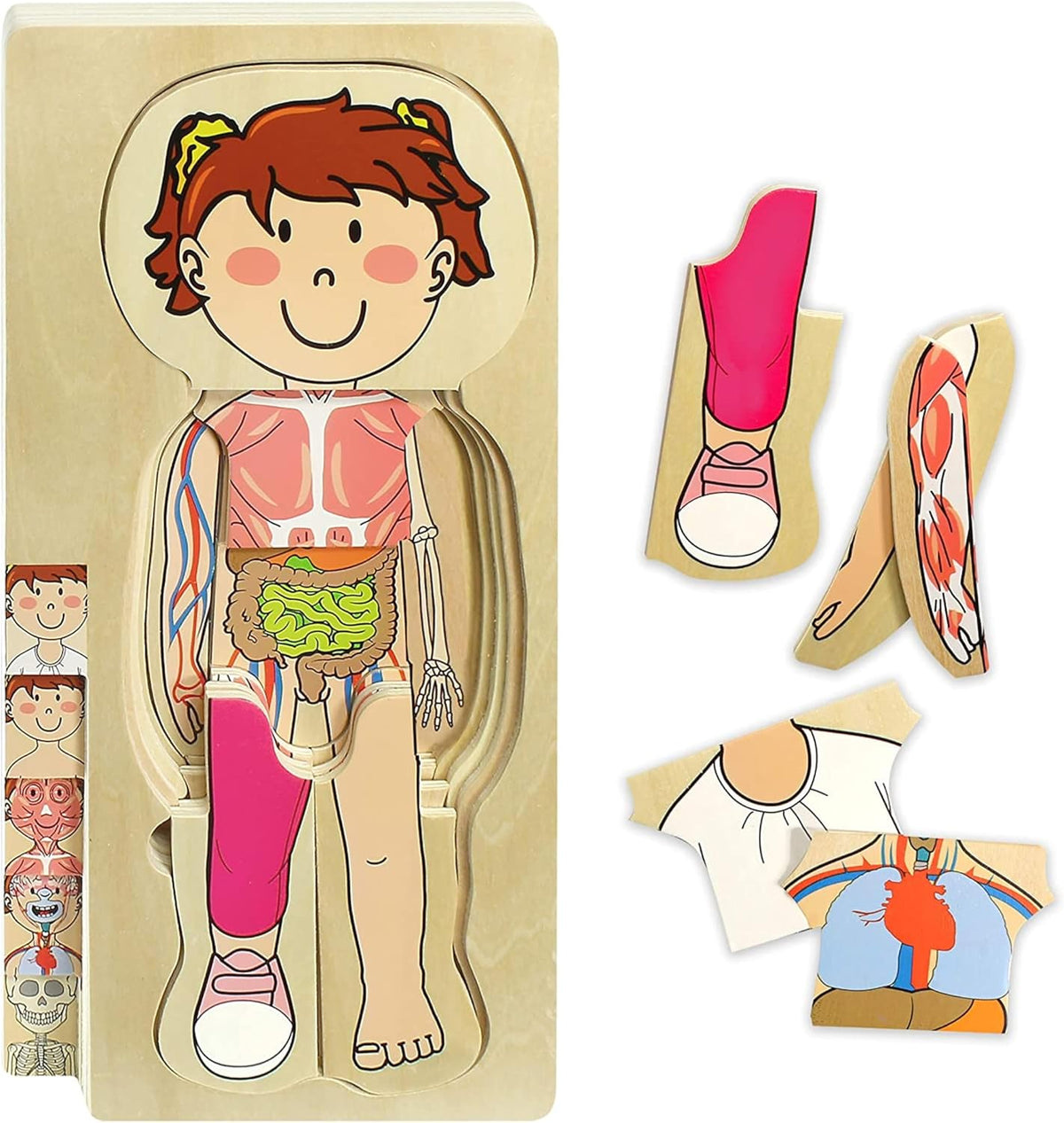 Human Body Puzzle - Toddlers Design
