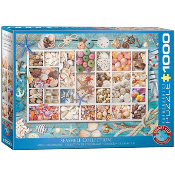 Seashell Collection