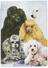Best Friends Playing Cards, By Ruth Maystead - Poodle