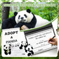 38 Pcs Adopt A Panda Party Favors Include 12 Mini Panda Stuffed Animals 12 Foldable Boxes 12 Adoption Cards 1 Adopt Sign 1 Fence