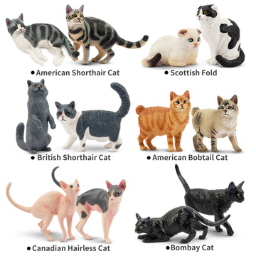 EYSCOTA 12PCS Cat Figurines - Realistic Plastic Kitten Toys, Colorful Cake Toppers for Kids & Children, Model CAT-001