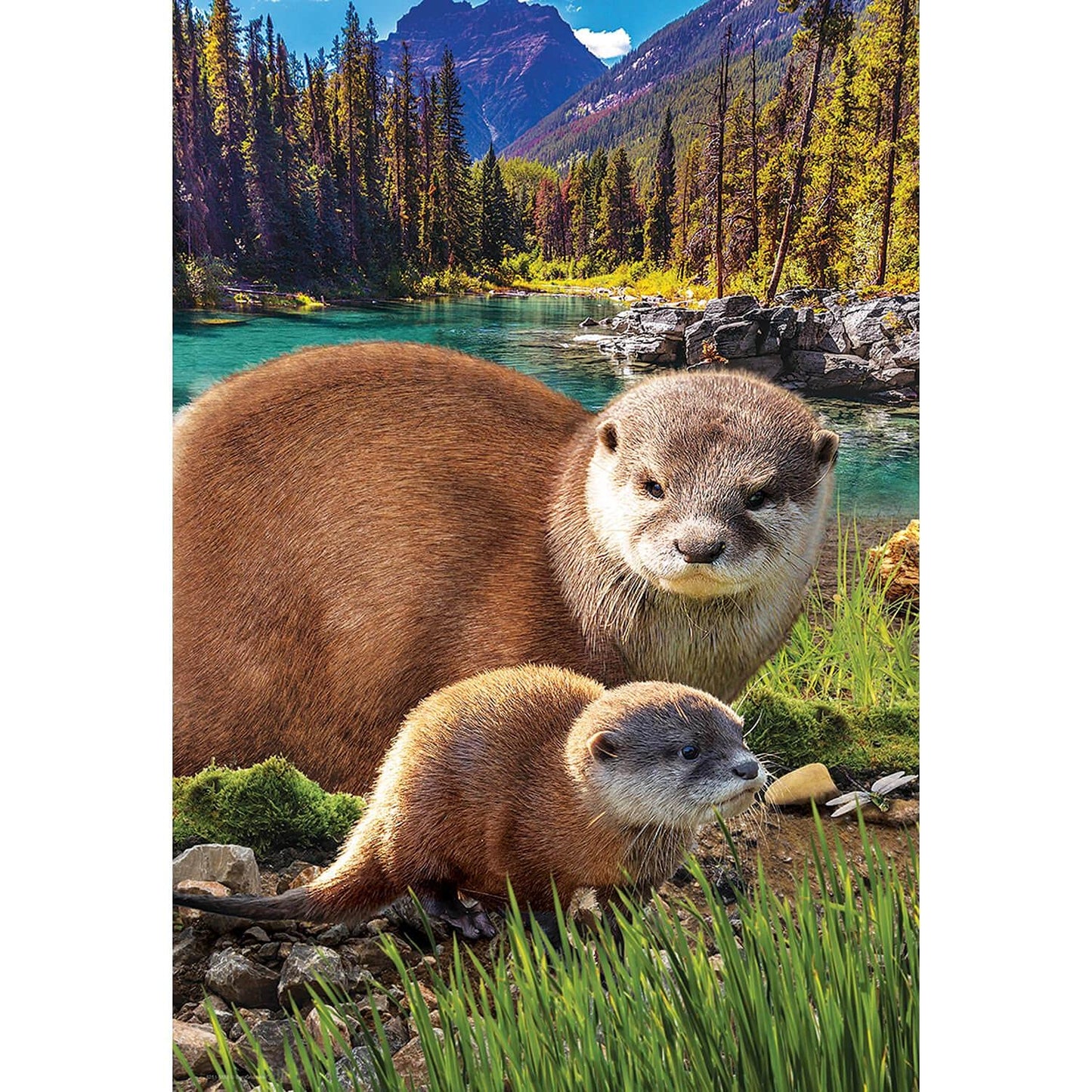 Eurographics Otters 250-Piece Puzzle