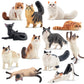 EYSCOTA 12PCS Realistic Cat Figurines, Plastic Cat Figure Set, Model X-DMAO02-BUOU01, Perfect for Kids' Birthday and Christmas Gifts