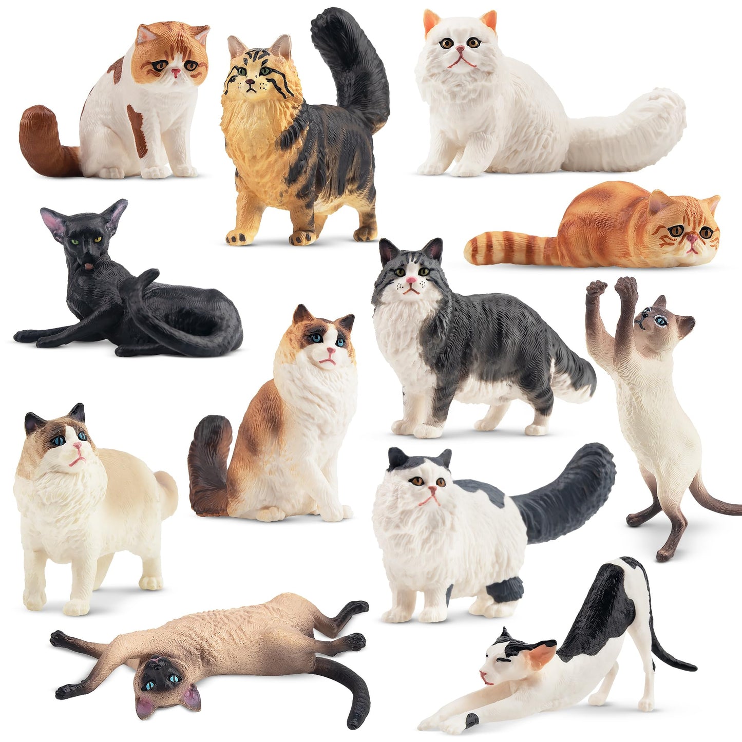 EYSCOTA 12PCS Realistic Cat Figurines, Plastic Cat Figure Set, Model X-DMAO02-BUOU01, Perfect for Kids' Birthday and Christmas Gifts