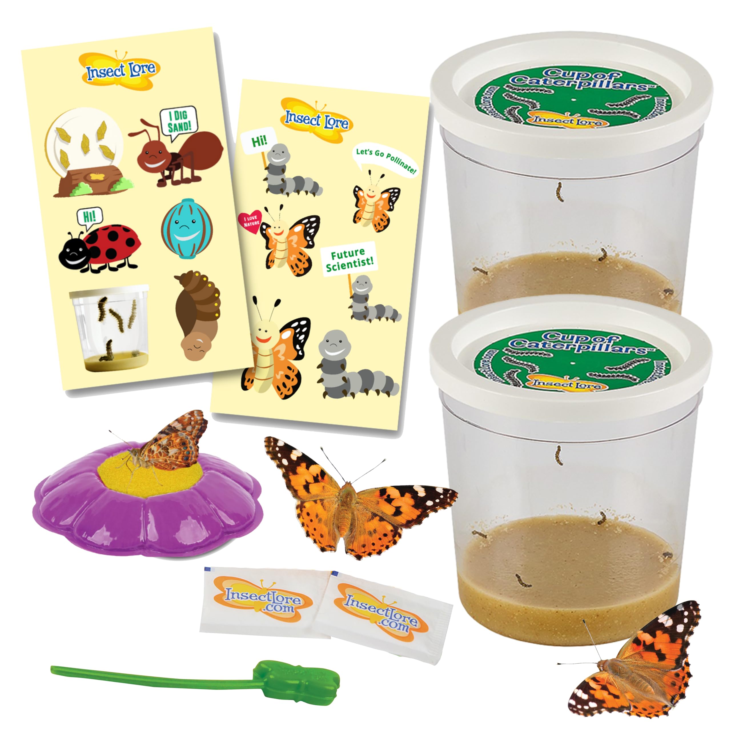 Toothy Insects Insect Lore Two Cups Of Caterpillars Deluxe | 10 Live Baby Caterpillars ...