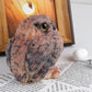 Taba Squishy Owl Kit - Handmade Realistic Silicone Big Animal Toys For Stress Relief (Brown)