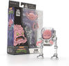 The Loyal Subjects BST AXN TMNT Wave 3 Krang Action Figure 5" Multicolored Plastic Model BATMNTKRAWB01