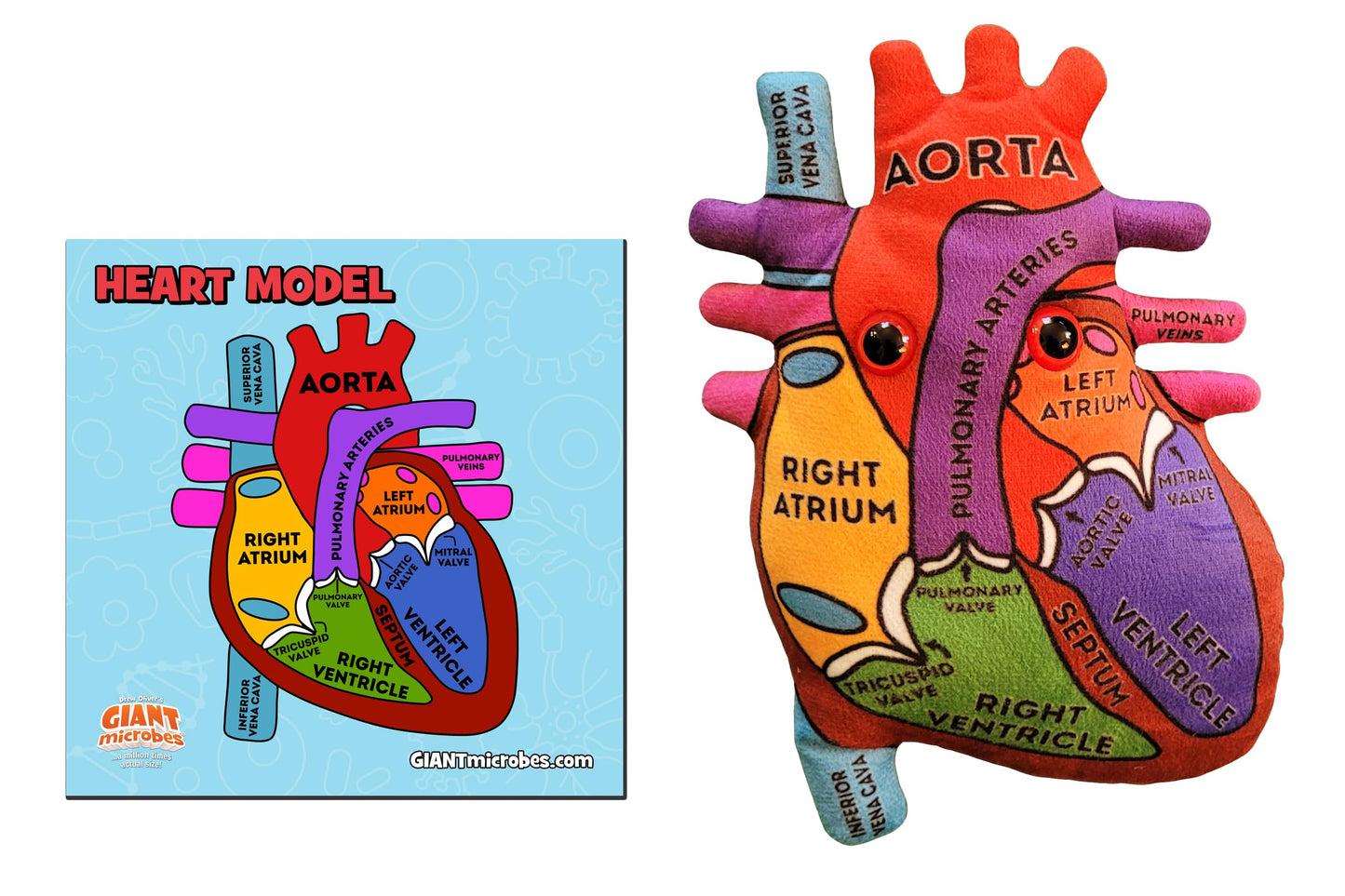 Giantmicrobes Anatomical Heart Plush, Human Heart Model, Heart Anatomy Model, Real Heart Plush, 3D Heart Model Anatomy, Open Heart Surgery Gifts, Heart Transplant Gifts, Heart Attack Survivor Gifts