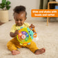 Bright Starts Safari Surprise Light-Up Baby Toy, Multisensory, Small, Plastic, Model 17161-000, Unisex, 6 Months+