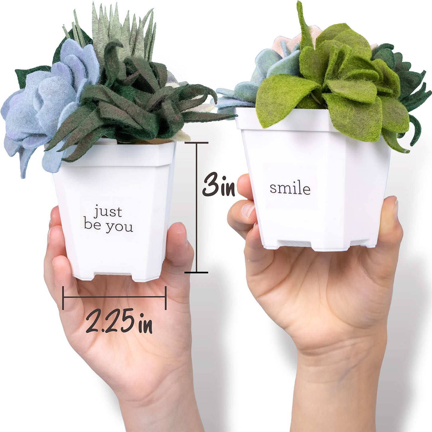 Hapinest DIY Potted Felt Succulents Craft Kit - Miniature Multicolor for Adults, Teens & Seniors, Ages 6+ (Model 3381)