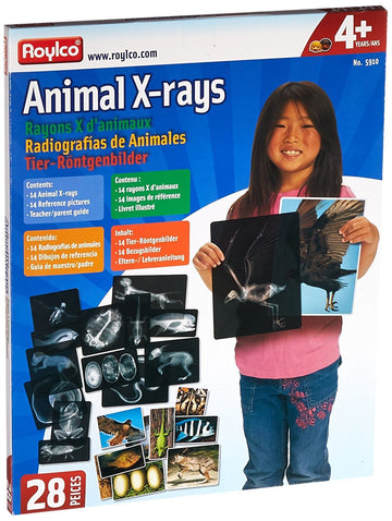 Roylco R5910 Animal X-Rays, 8 x 10, 28 Pieces