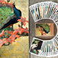 Flonzgift Fantastic Birds Playing Cards (Poker Deck 54 Cards All Different) Vintage Retro Beautiful Birds Painting By Jessie Arm