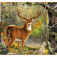 MasterPieces 1000 Piece Jigsaw Puzzle for mature-themeds  Family  Or Youth - Backcountry Buck - 19.25x26.75