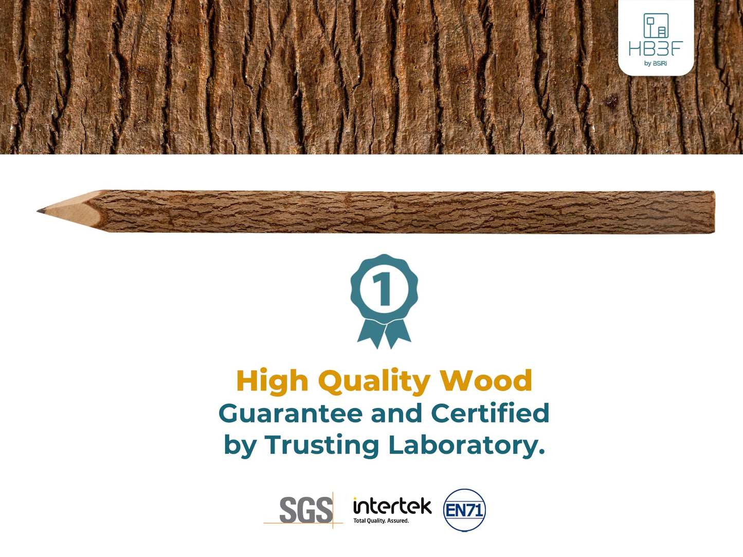 BSIRI Black Pencils Wood Pack of 12 in 7 Inch Tree Bark Wooden Favors in Rustic Twig Pencils Unique Gifts Camping Lumberjack Dec