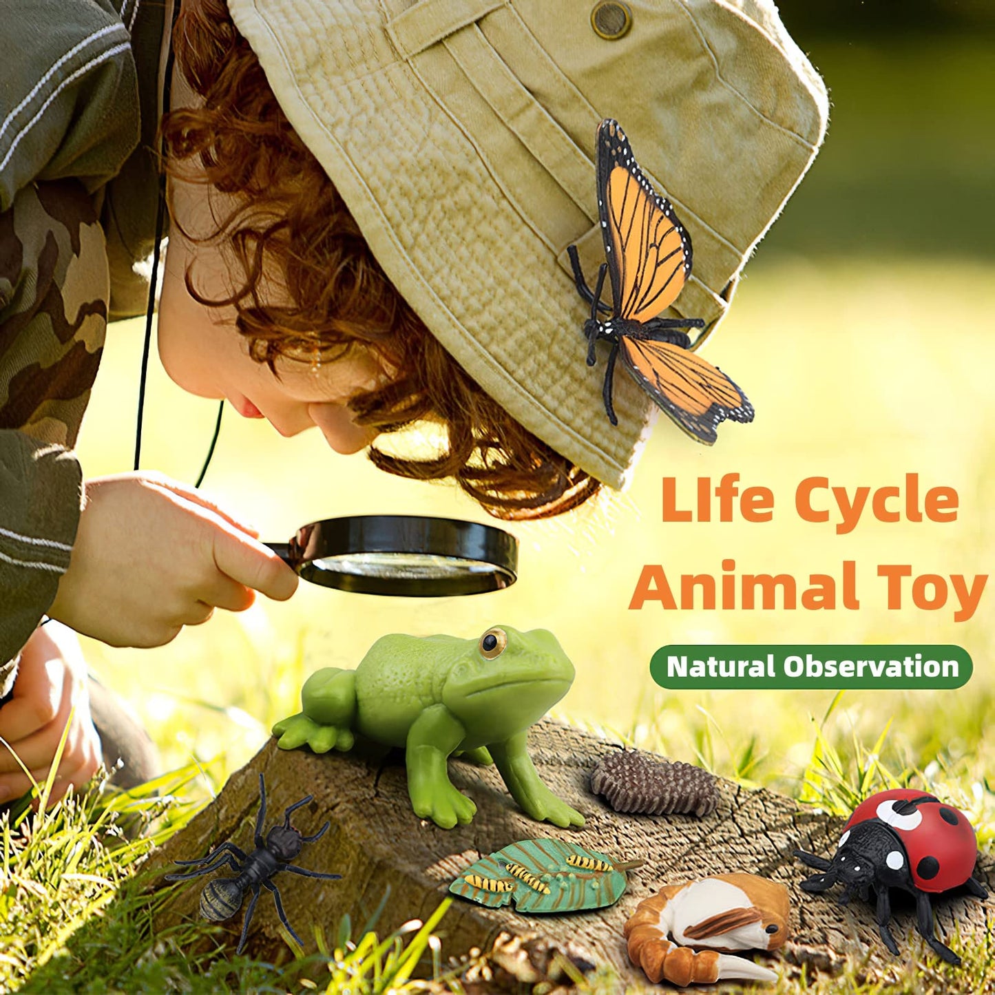 Montessori Life Cycle Animal Figures With Flash Cards, Realistic Animal Figurines Toy, Animal Match Set With Butterfly Frog Ladybug, Educational Matching Game For 3+ Year Old Toddlers Kids (Ladybug)