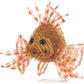 Webkinz Lionfish