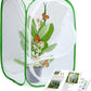 Pop-up Butterfly Habitat Terrarium