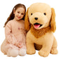 Ikasa Giant Golden Retriever Dog Stuffed Animal Plush Toy,23' Large Big Jumbo Puppy Soft Toys,Huge Size Cute Fluffy Plushy Fat Plushie,Gifts For Kid