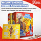 Human Anatomy Kids Floor Puzzle - Dr Livingston Jr'S 100-Piece Full Body Jigsaw Puzzle - 4 Ft Medically Accurate Floor Puzzles For Kids Ages 6-8, 4-8, 8-10 - Educational Toys For Children, Toddlers