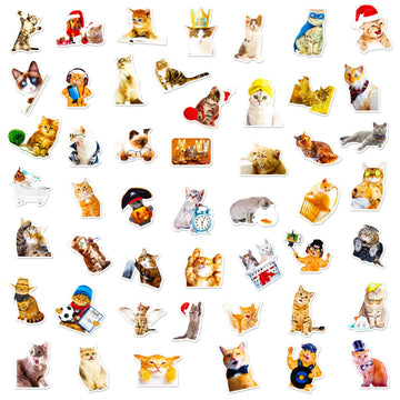 Cat Stickers For Kids Teens Girls Adults, 100 Pcs Cute Cat Stickers, Vinyl Waterproof Animal Stickers For Water Bottle, Laptop,