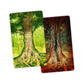 InPatience Skoventyr Board Game - Cooperative Strategy for 1-4 Players, Ages 10+, Multicolor, Cardstock, Model INPASK12
