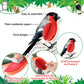 PerKoop 10 Pcs Bird Party Decorations Tropical Bird Honeycomb Paper Cutouts Jungle Rainforest Theme Hanging Parrot Bird Birthday