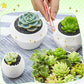 100 Piecesmini Bees Dollhouse Tiny For Crafts Dollhouse Fairy Garden Micro Landscaping Decoration Mini Halloween Figurines (Bees