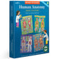 eeBoo: Ready to Learn: Human Anatomy 4-Puzzles - Body Systems Set of 4-48 Piece Jigsaws, Includes Educational Poster, Kids Ages 