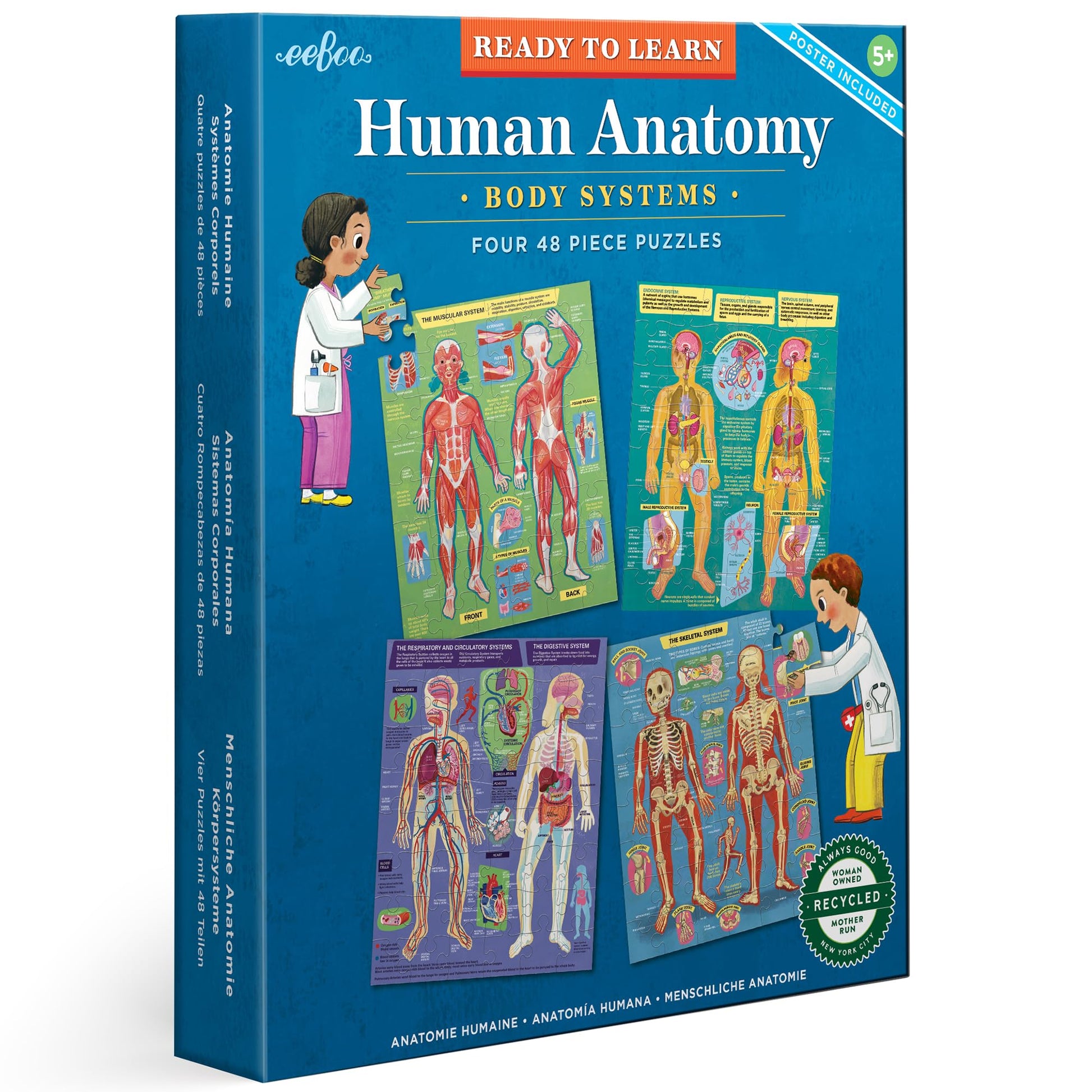 eeBoo: Ready to Learn: Human Anatomy 4-Puzzles - Body Systems Set of 4-48 Piece Jigsaws, Includes Educational Poster, Kids Ages 