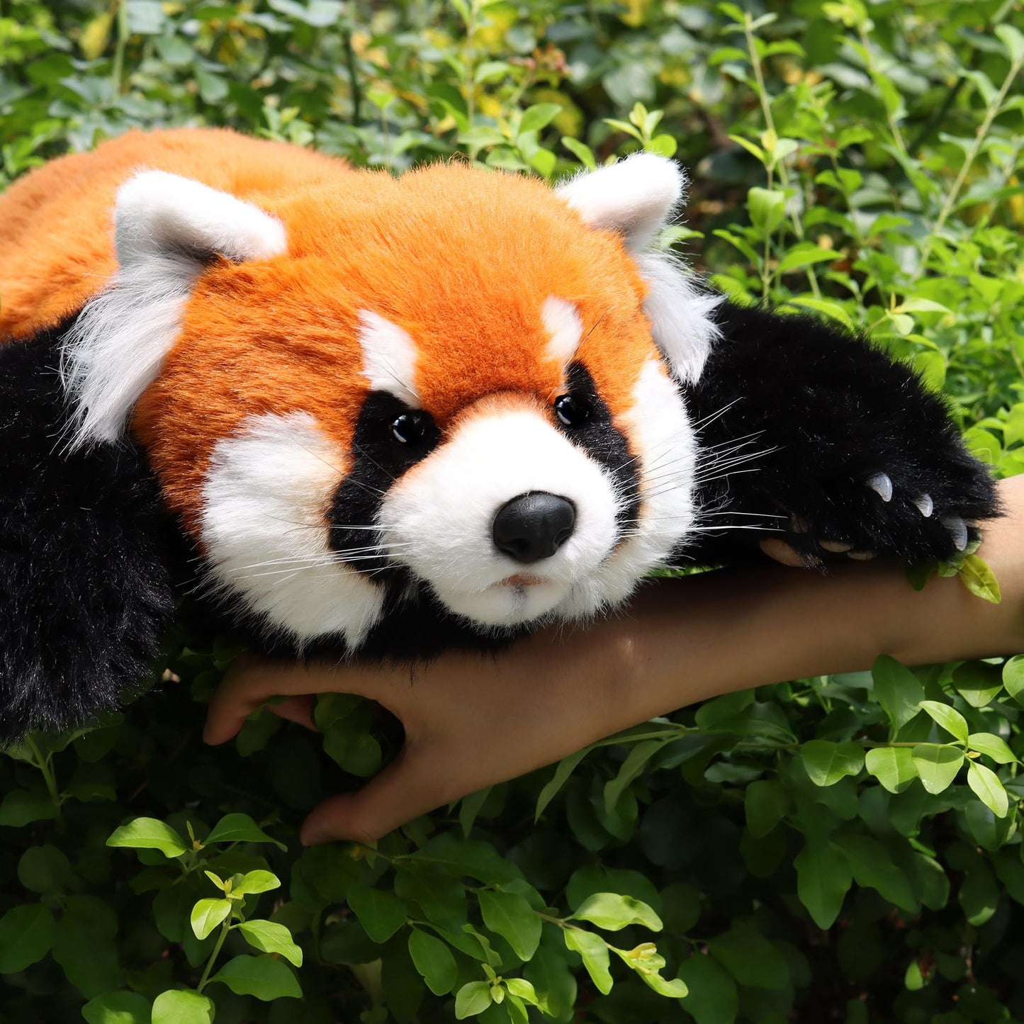 Chongker Red Panda Plush Toy, Large Weighted Stuffed Animal, Handmade Polyester, Cute Red and Brown, Model BPWild-A0001