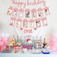 1St Birthday Baby Photo Banner, Happy Birthday Banner 17Pcs First Birthday Decorations For Girl Newborn To 12 Months, First Birt