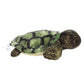 Aurora Adorable Mini Flopsie Splish-Splash Stuffed Animal - Playful Ease - Timeless Companions - Green 8 Inches