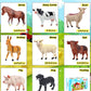 KECIABO Farm Animal Figurines Set, 8 Pcs Realistic Plastic Toys, Educational Multicolor Playset for Kids and Toddlers