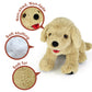 LotFancy Dog Stuffed Animals, 12 inch Cuddly Golden Retriever Stuffed Animals, Sitting Puppy Dog Plush Toy, Birthday Gift for Ki