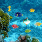 Boao 48 Pcs Plastic Fish Toys Small Tropical Fish Figure Play Set Sea Animals Bath Toys Tropical Party Favors Assorted Ocean Creatures Figures Birthday Learning Educational Party Supplies