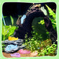 Suzile 60 Pcs Mini Resin Animals Caterpillars Miniature Figures Luminous Mini Resin Charms Miniature Garden Accessories Micro La