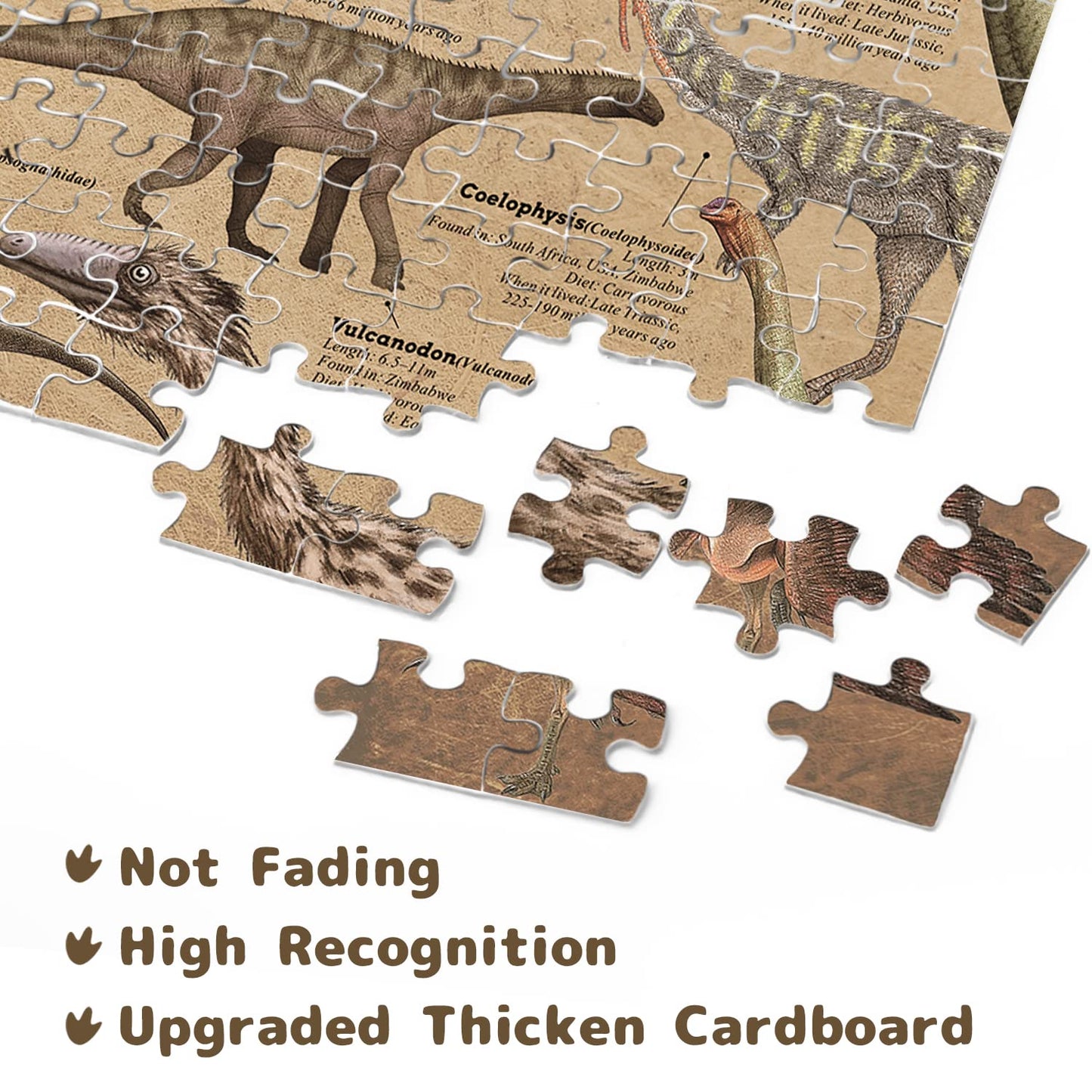 Dinosaur Puzzle 1000 Pieces for mature-themed  Vintage Jigsaw Puzzles Includes Major Dinosaur Groups  Animal Puzzle as Souvenir