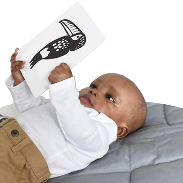 Wee Gallery Black And White Animal Art Cards For Babies, Durable High Contrast Vision Cards, Brain Development Educational Learning Tool For Newborn, Infant, Baby, Toddler - Rainforest Animals