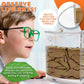 Tigerific Ant Farm for Live Ants - Transparent Plastic Habitat Set - Original Version with Real Sand - Science Kit for Kids