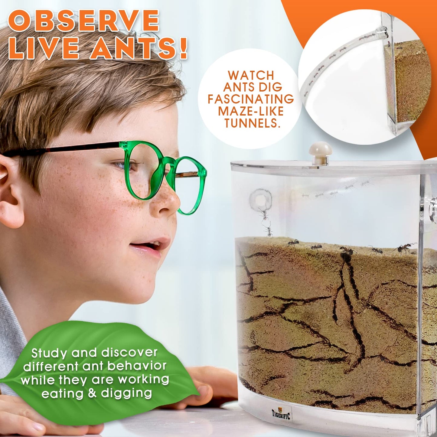 Tigerific Ant Farm for Live Ants - Transparent Plastic Habitat Set - Original Version with Real Sand - Science Kit for Kids