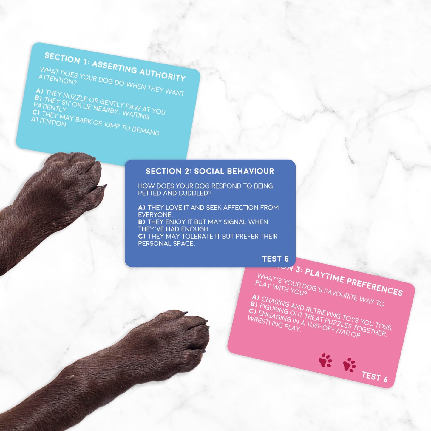 Gift Republic Dog Personality Test Cards - 100 Fun Cards for Dog Lovers - One Size - Blue - Discover Your Dog's Unique Traits