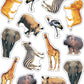 Carson Dellosa Wild Animals Stickers Pack, 84-Piece Classroom Stickers, Multi-Color, Perfect for Incentive Charts and Rewards