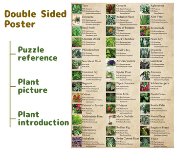 Vintage Houseplant Puzzle 1000 Pieces for mature-themed  Botany Succulent House Plant Puzzle  39 Common Indoor Plants Jigsaw Puzzles