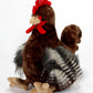 The Petting Zoo Chicken Stuffed Animal Plush Toy, 12in Brown Plushie, Model 421304, Perfect Gift for Kids