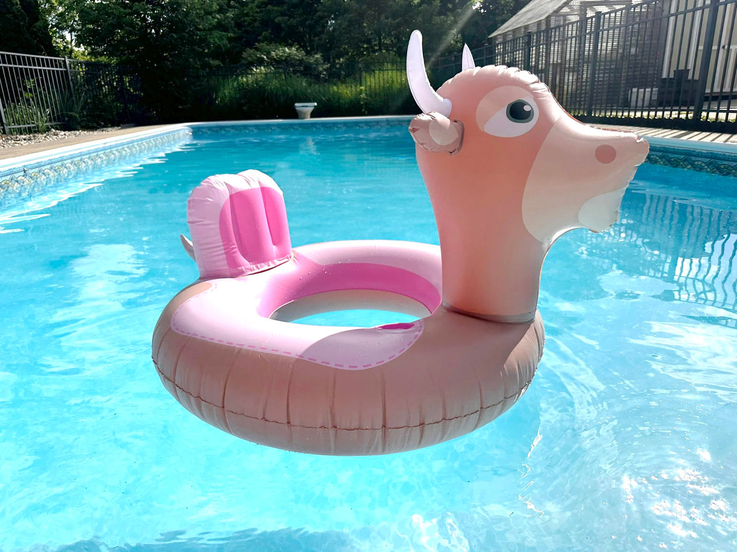 NPW Bull Pool Float Ring - Inflatable Vinyl Toy, Large Pink, FA-BULL-OUS, Perfect for Summer Adult Bachelorette Pool Decorations