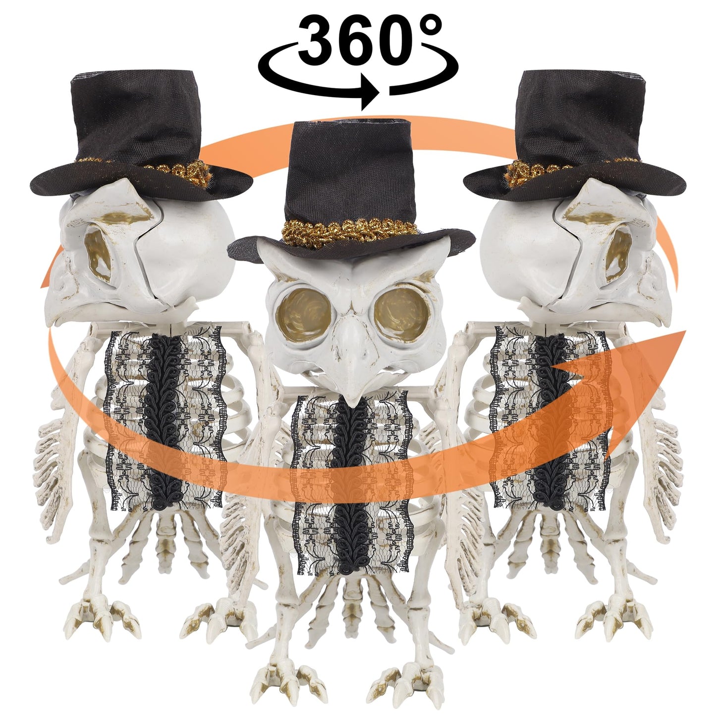 Dr.Dudu 3 Pack Halloween Skeleton Owl Decor, Life Size Animals Skeletons Plastic Skull Decorations Halloween Birds Figurines Dec