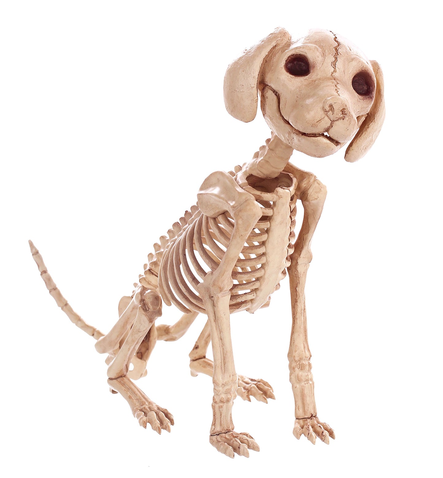 Crazy Bonez Sitting Skeleton Puppy Toy