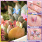 60pcs Micro Resin Butterflies Mini Resin Butterflies for Crafts Miniature Butterflies Tiny Butterfly Decorations Stocking Stuffe