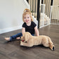 Lotfancy Dog Stuffed Animals, 26'' Cuddly Golden Retriever Stuffed Animals, Dog Plush Toy, Large Stuffed Dog, Beige