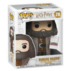 Funko 35508 Pop! Harry Potter: Hagrid with Cake 6, Standard, Multicolor